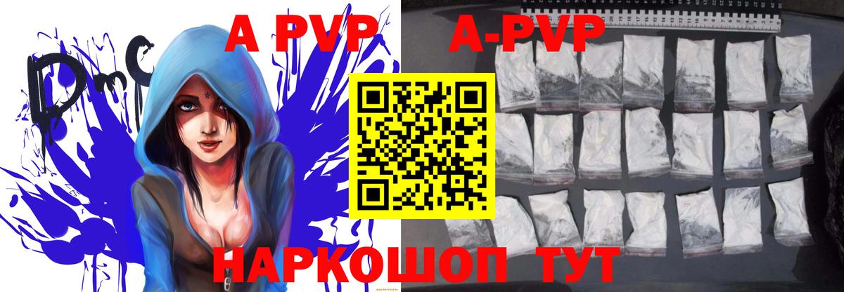 как найти   Alfa_PVP СК КРИС  Карачаевск  Альфа ПВП СК КРИС  Вход с VPN  A PVP СК  Альфа ПВП 