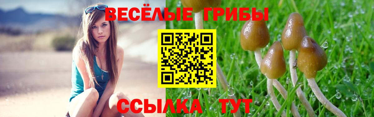 Галлюциногенные грибы MAGIC MUSHROOMS Карачаевск